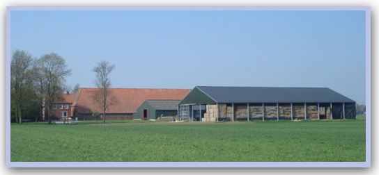 De huidige boerderij. Nr. 181. C. DE GRAAF - Kroonpolder 29, Drieborg. Mede-eigenaar-bewoners: Cornelis de Graaf, geb. 1-5-1961 te Maar-tensdijk, geh. 7-5-1986 met Nadine Lin, geb. 3-7-1961 te Utrecht. K.: Mike, geb. 26-7-1988 te De Bilt. Hein, geb. 2-11-1989 te Westbroek. Het bedrijf is 52.99.25 ha groot en wordt samen met 182 door de firma H., R.C. en C. de Graaf geëxploiteerd. Het is een gemengd bedrijf met schapen, vleesvarkens en akkerbouw. In 1995 is een jongvee-, zoogkoeien- en vleesstierenstal gebouwd. De fam. C. de Graaf komt van Kooidijk te Westbroek en woont sinds 1992 op de boerderij. Firma De Graaf heeft de boerderij van P.A. Sahle te Greven (Dld.) gekocht. De toenmalige bedrijfsleider J. Jungbluth vertrekt naar Duitsland. Vóór Jungbluth is W. van Lessen bedrijfsleider. De fam. Van Lessen woont nu in Bunde (Dld.). Bron: Boerderijenboek Beerta.